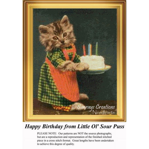 Happy Birthday from Little Ol' Sour Puss, Vintage Cross Stitch Pattern (Pattern Only, You Provide the Floss and Fabric)