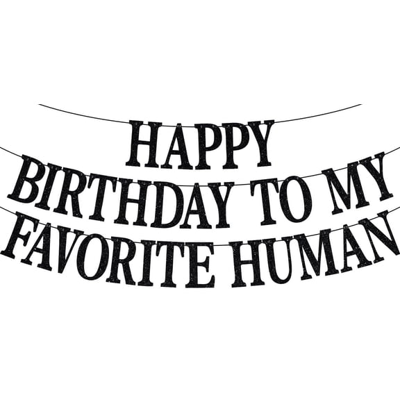 Happy Birthday to My Favorite Human Banner, Funny Birthday Sign, Death to My Youth, Birthday Party Supplies Ideas Decorations