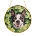 thumbnail image 1 of Happy Boston Terrier Welcome St Patrick's Day Lucky Shamrocks Clover Stained Glass Suncatcher Gentleman Dog Lover Gifts Window Hanging Sign Decor - 22001, 1 of 5