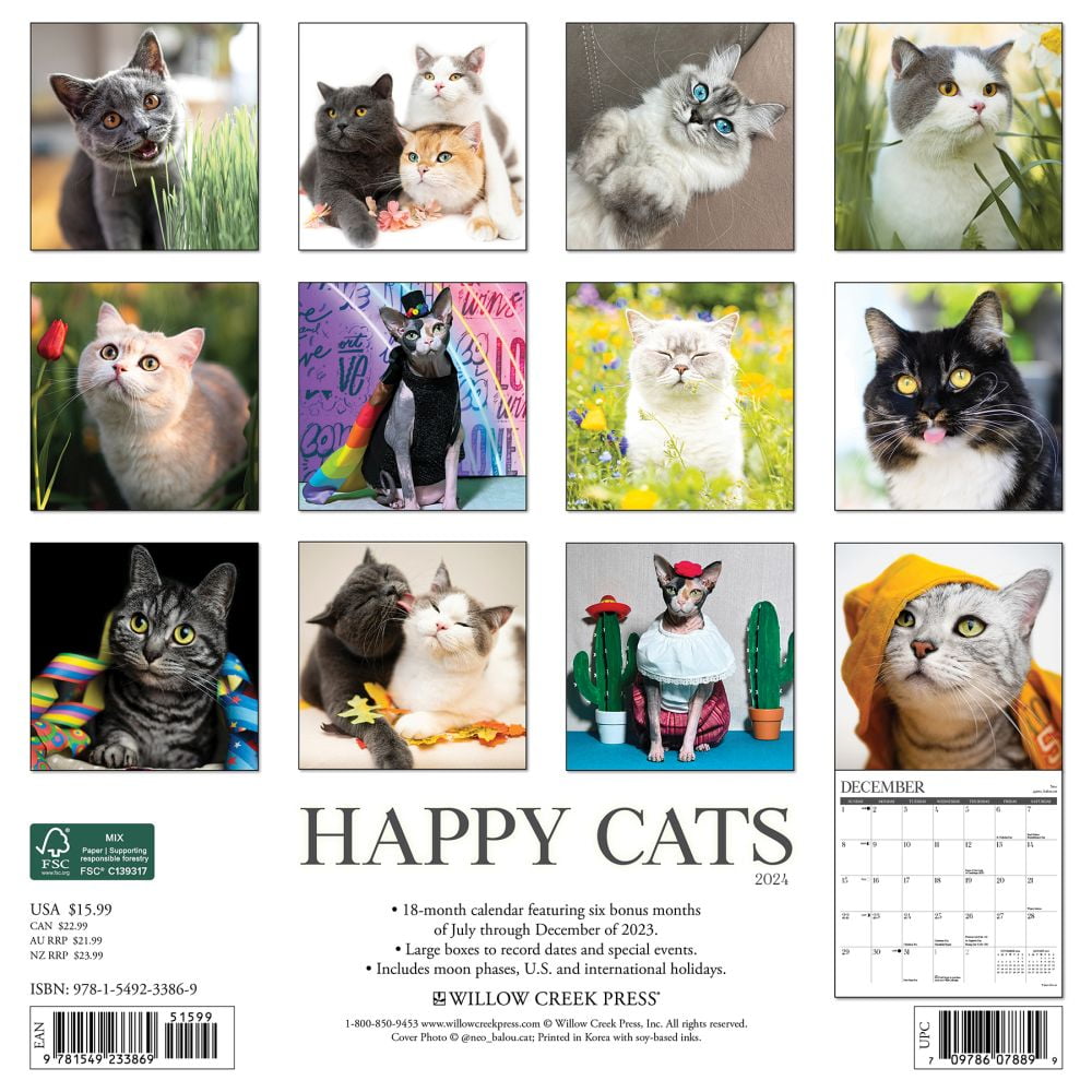 Happy Cats 2024 12 X 12 Wall Calendar (Calendar) - Walmart.com