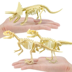 Happy Date 7Pcs/Set Dinosaur Fossil Skeleton Assorted Figures Dino Bones - for Science Play, Dino Sand Dig, Party Favor, Decorations and Stocking Stuffer