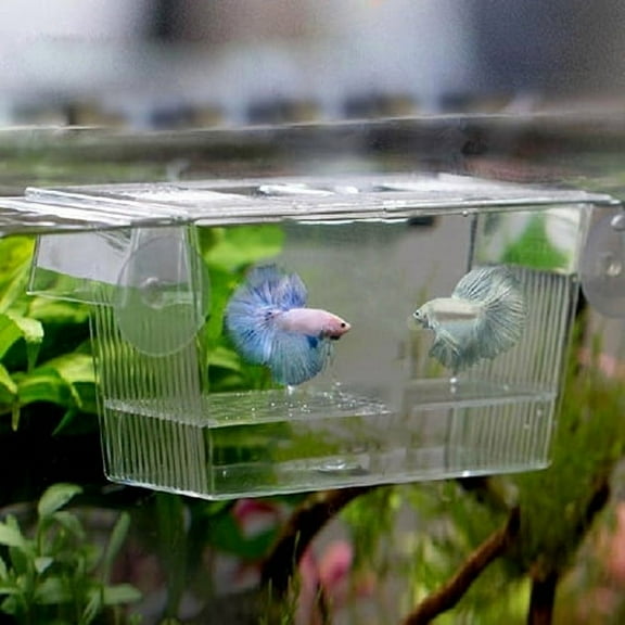 Happy Date Aquarium Fish Tank Guppy Double Breeding Breeder Rearing Trap Box Hatchery for Sick and Pregnancy Fish