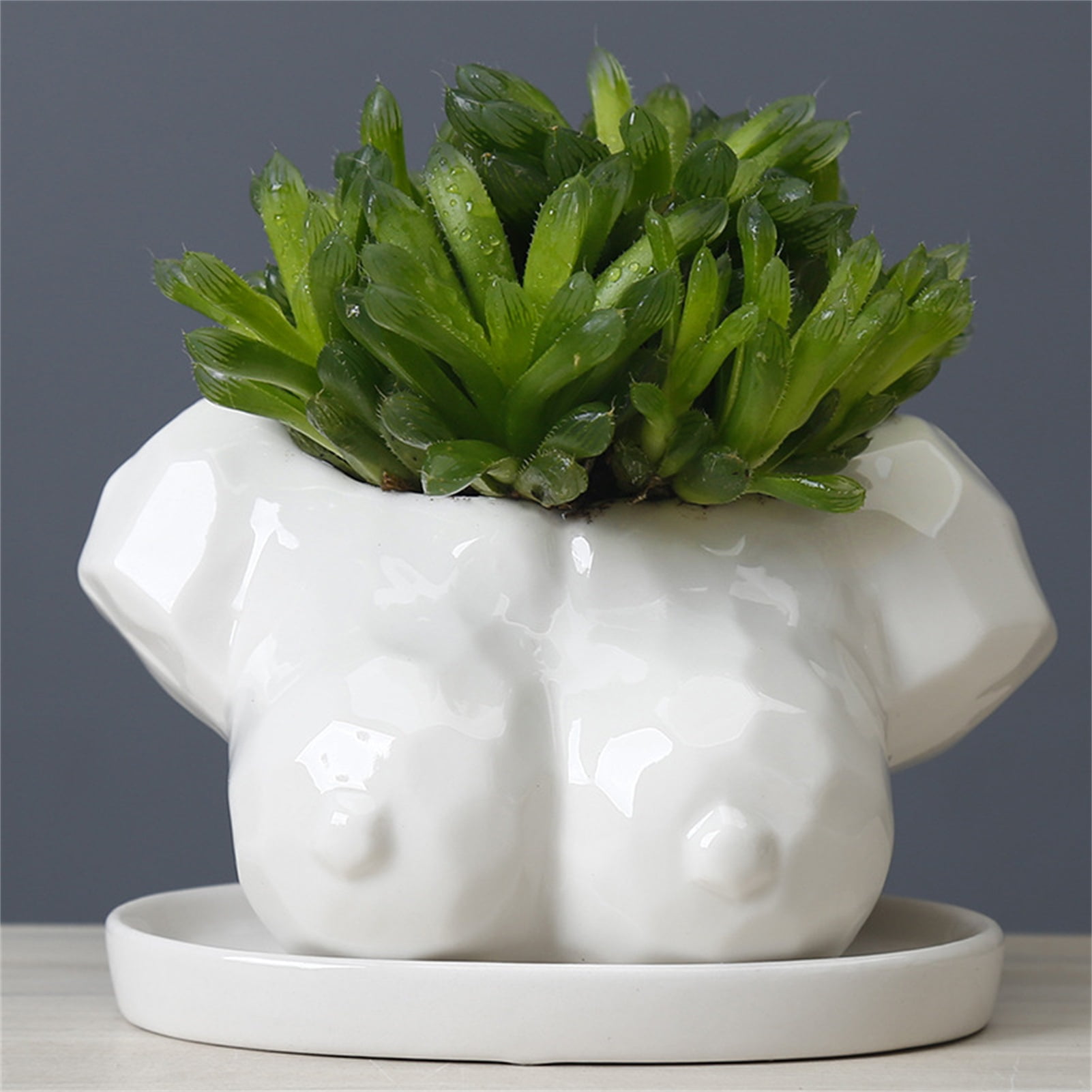 Happy Date Body Flower Vase, Female Base Roots Plant Artificial Faux ...