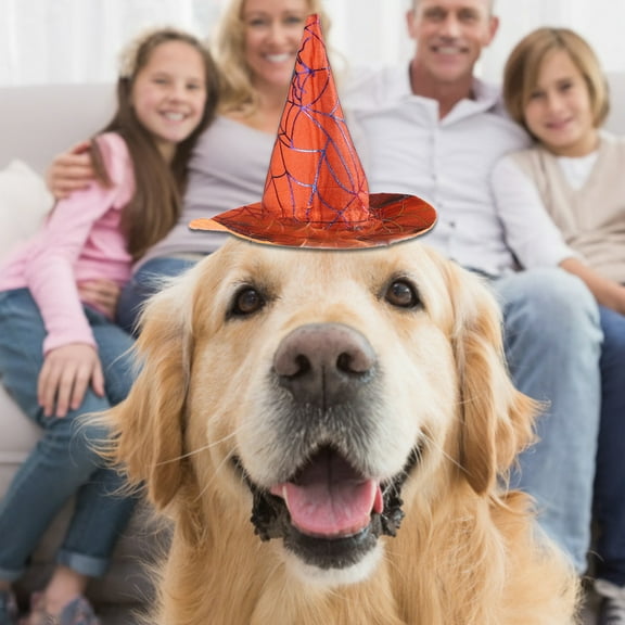 Happy Date Cat Dog Halloween Costumes Hats Small Dogs Puppy Cat Kitty Witch Hat Halloween Pet Hat Cap Dress Up Accessories