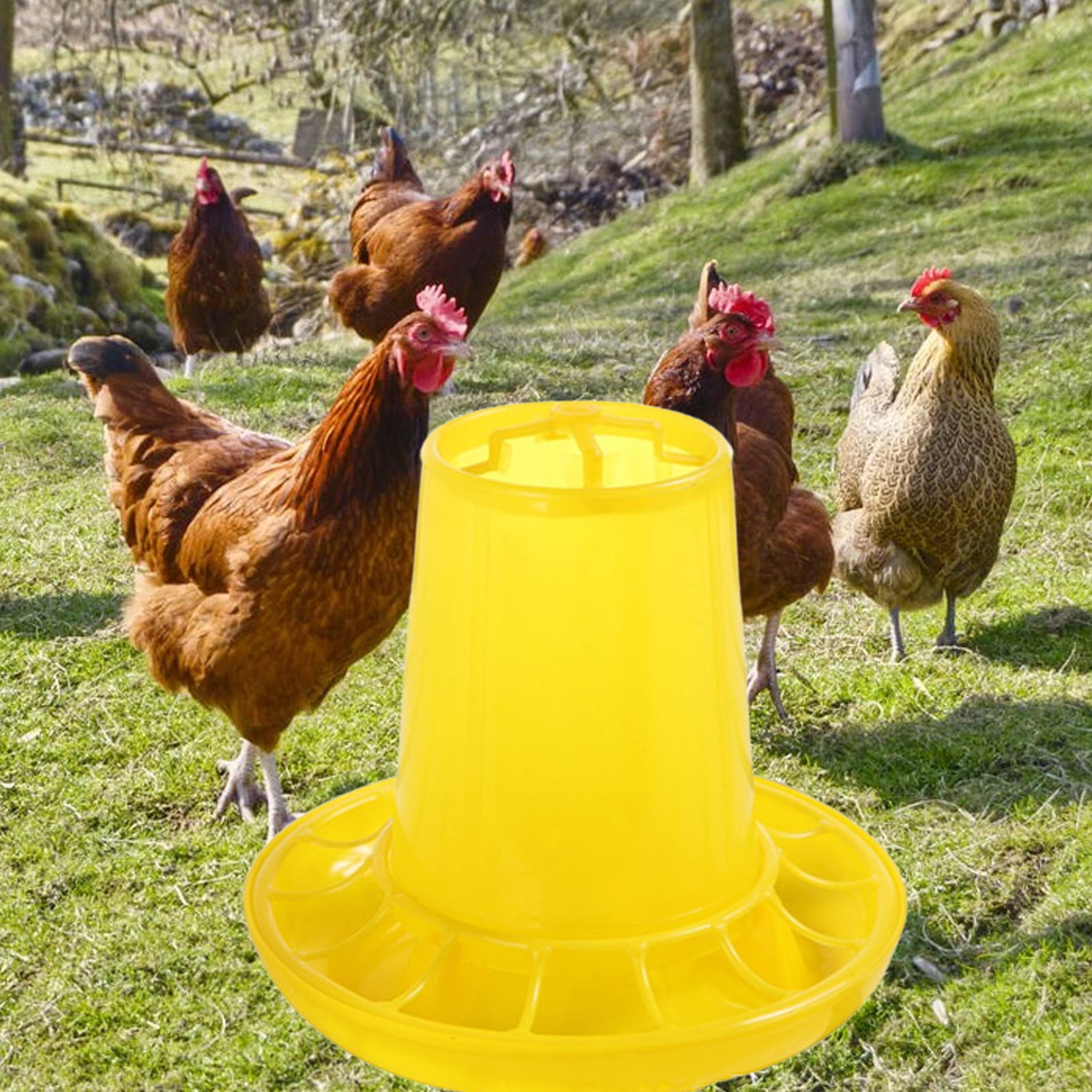 Happy Date Poultry Feeder Chicken Feed, Free Range Hanging Chicken Feeder,  Easy Use PE Strong Toughness Portable Poultry Feeder for Garden 