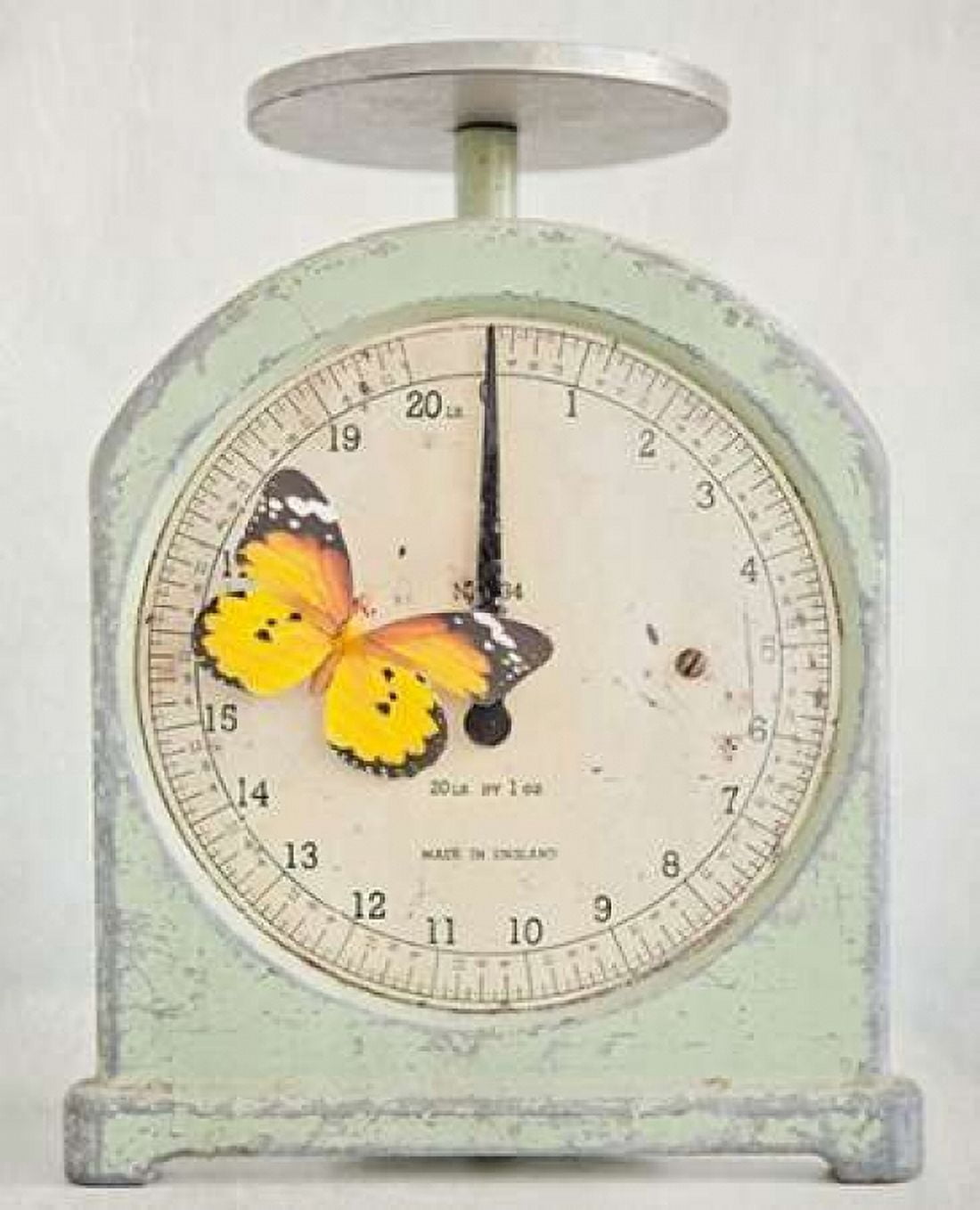 Happy Daydream 4 Canvas Art - Susannah Tucker Photography (22 x 28)