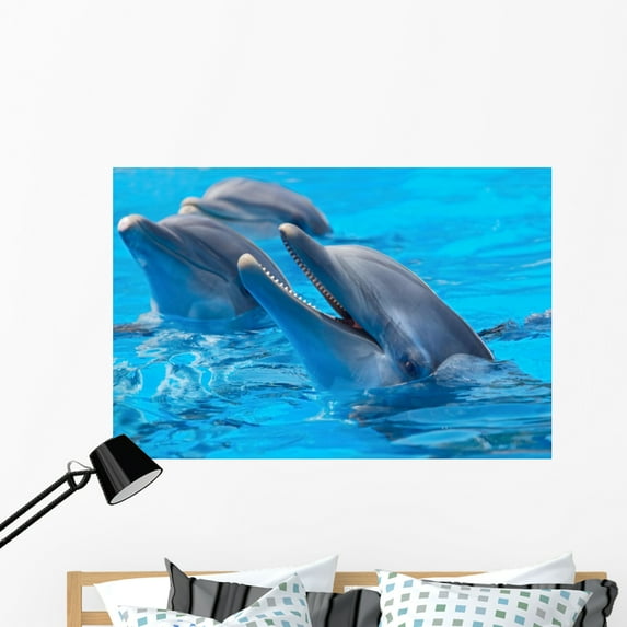 Happy Dolphins Wall Mural by Wallmonkeys Peel and Stick Graphic (48 in W x 32 in H) WM142990