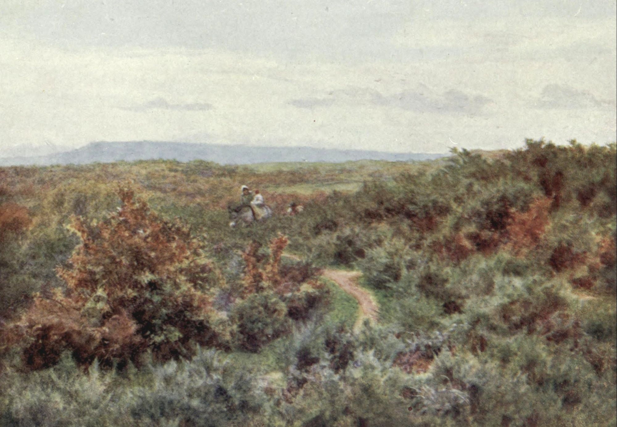 Happy England 1904 Blackdown from Witley Common Canvas Art - Helen Allingham (18 x 24)