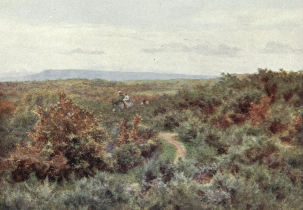 Happy England 1904 Blackdown from Witley Common Canvas Art - Helen Allingham (24 x 36)