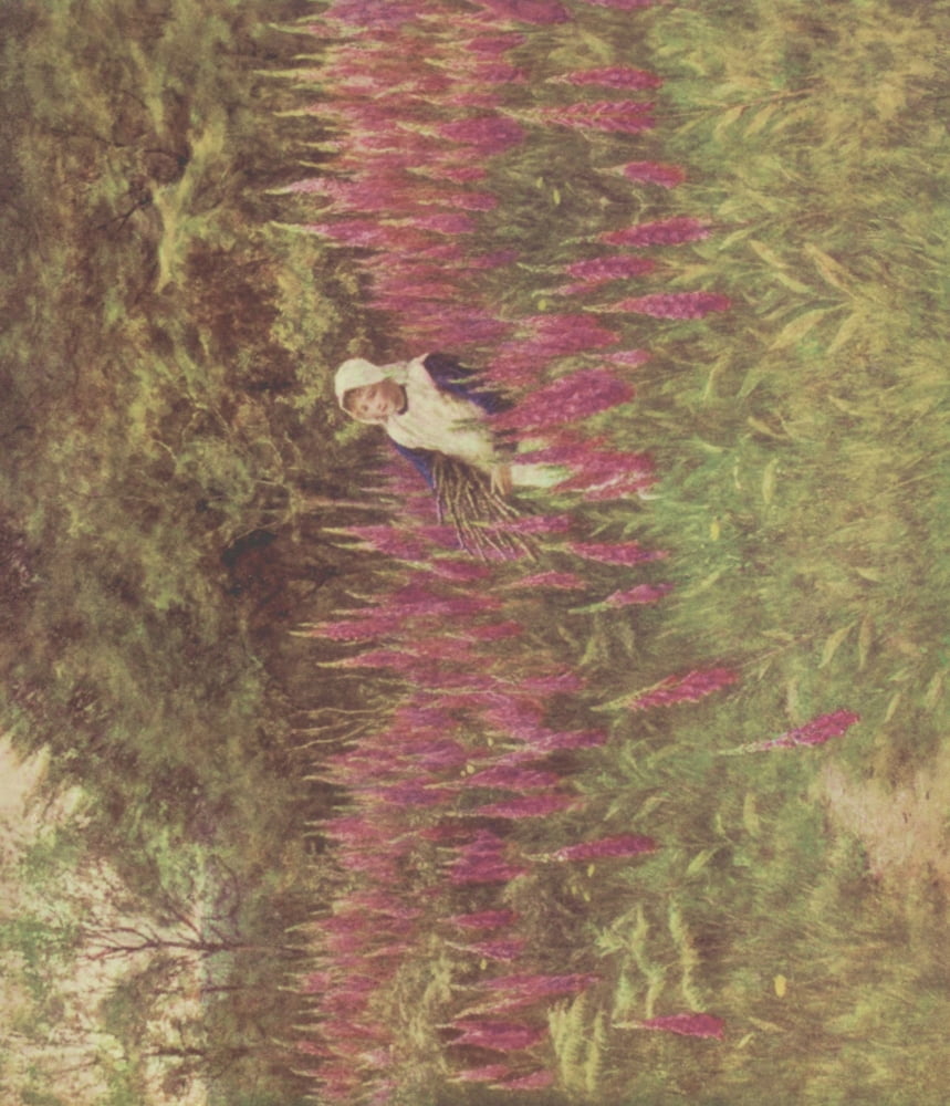 Happy England 1904 Foxgloves Canvas Art - Helen Allingham (18 x 24)