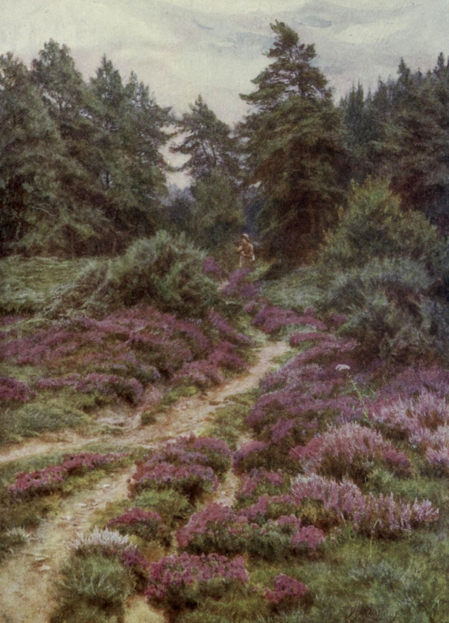 Happy England 1904 Heather on Crockham Hill Canvas Art - Helen Allingham (24 x 36)