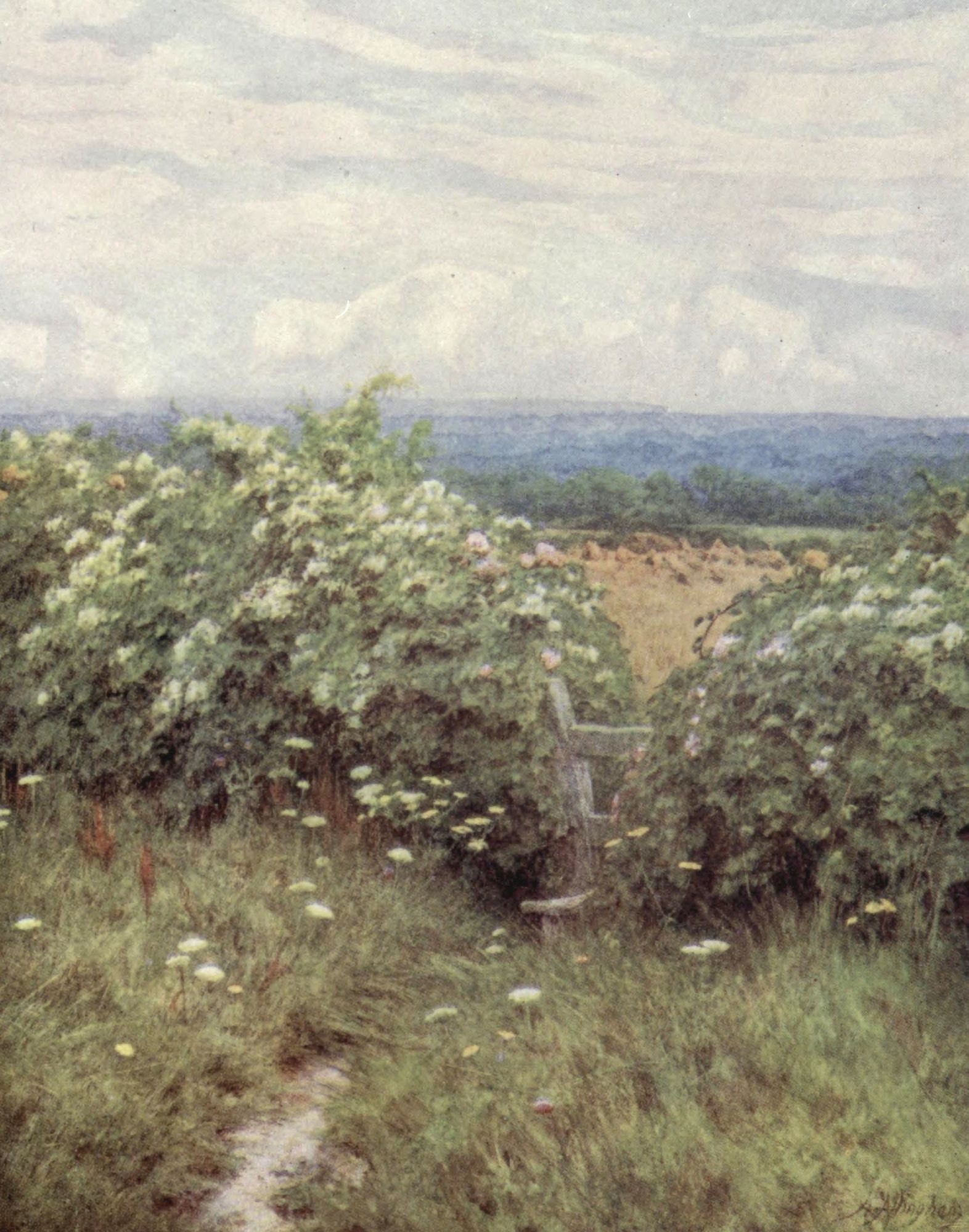 Happy England 1904 On Pilgrims Way Canvas Art - Helen Allingham (24 x 36)