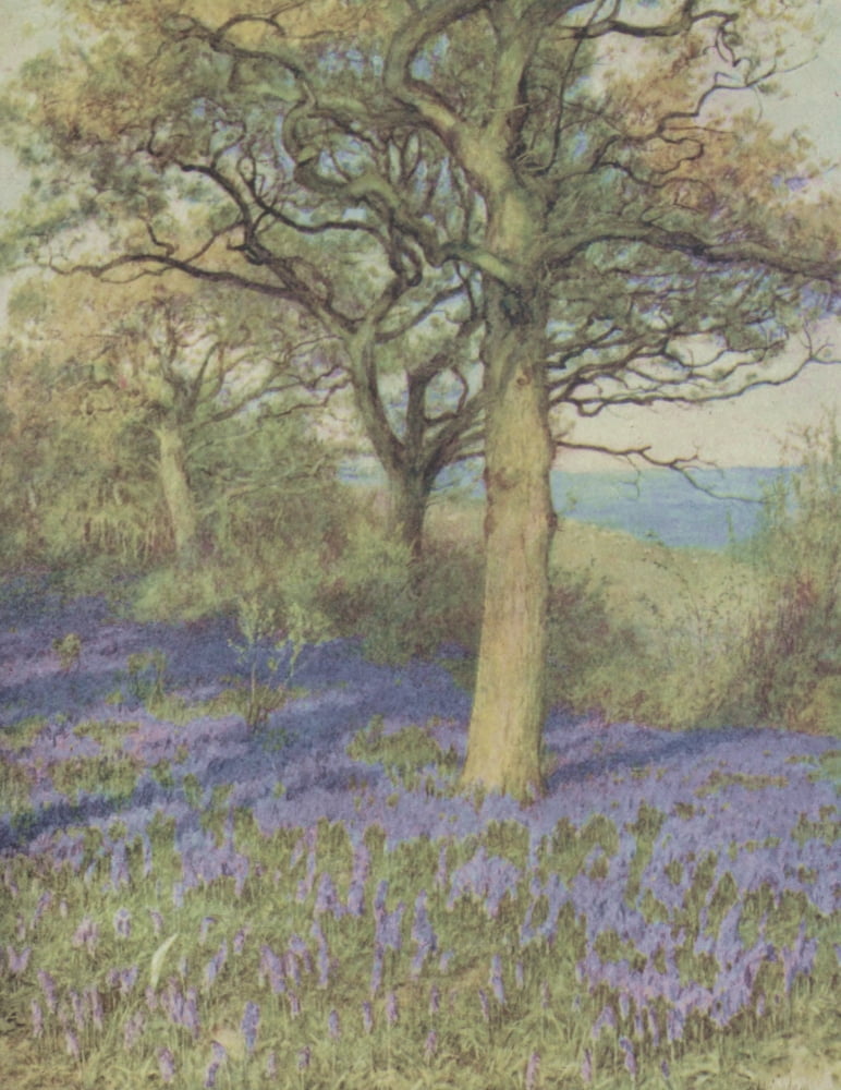 Happy England 1904 Spring in the Oakwood Canvas Art - Helen Allingham (18 x 24)