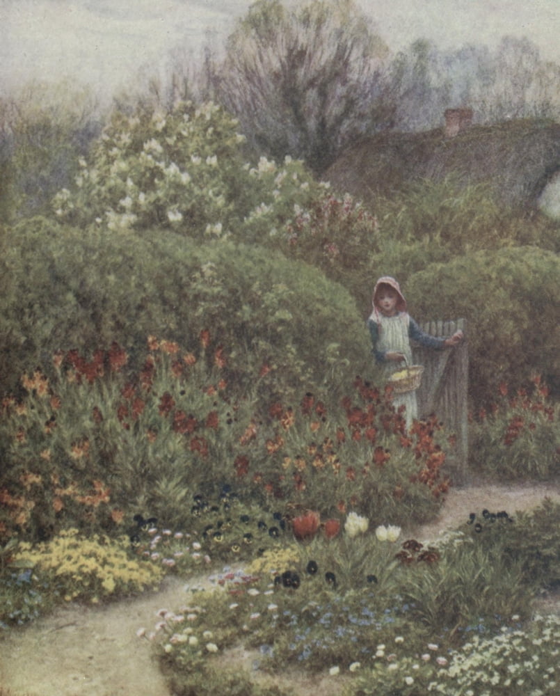 Happy England 1904 Wallflowers Canvas Art - Helen Allingham (24 x 36)