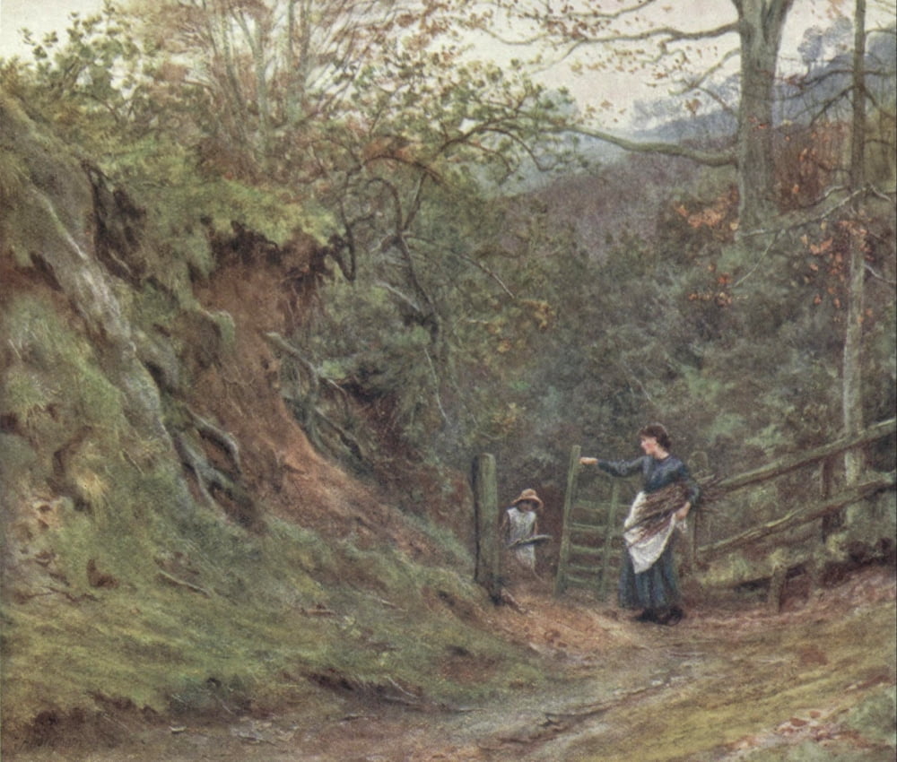 Happy England 1904 Witley Night-jar Lane Canvas Art - Helen Allingham (24 x 36)