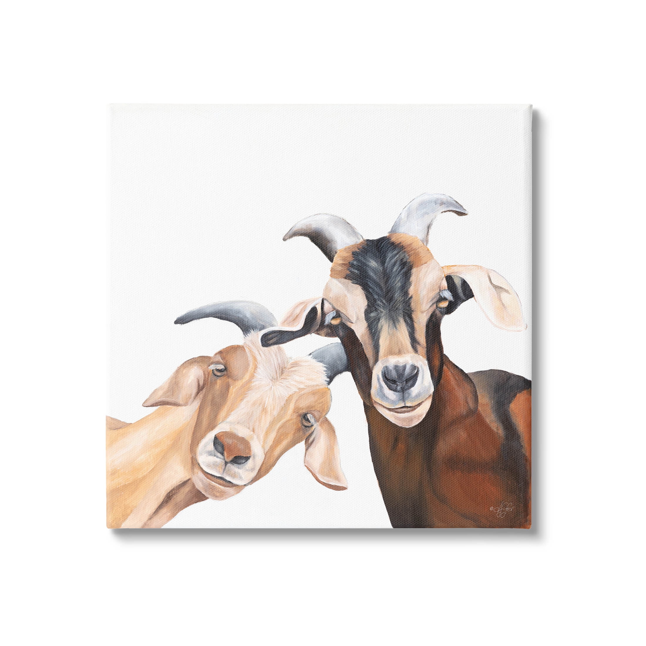 Happy Goat Smiling Animals Animals & Insects Graphic Art Gallery Wrapped Canvas Print Wall Art
