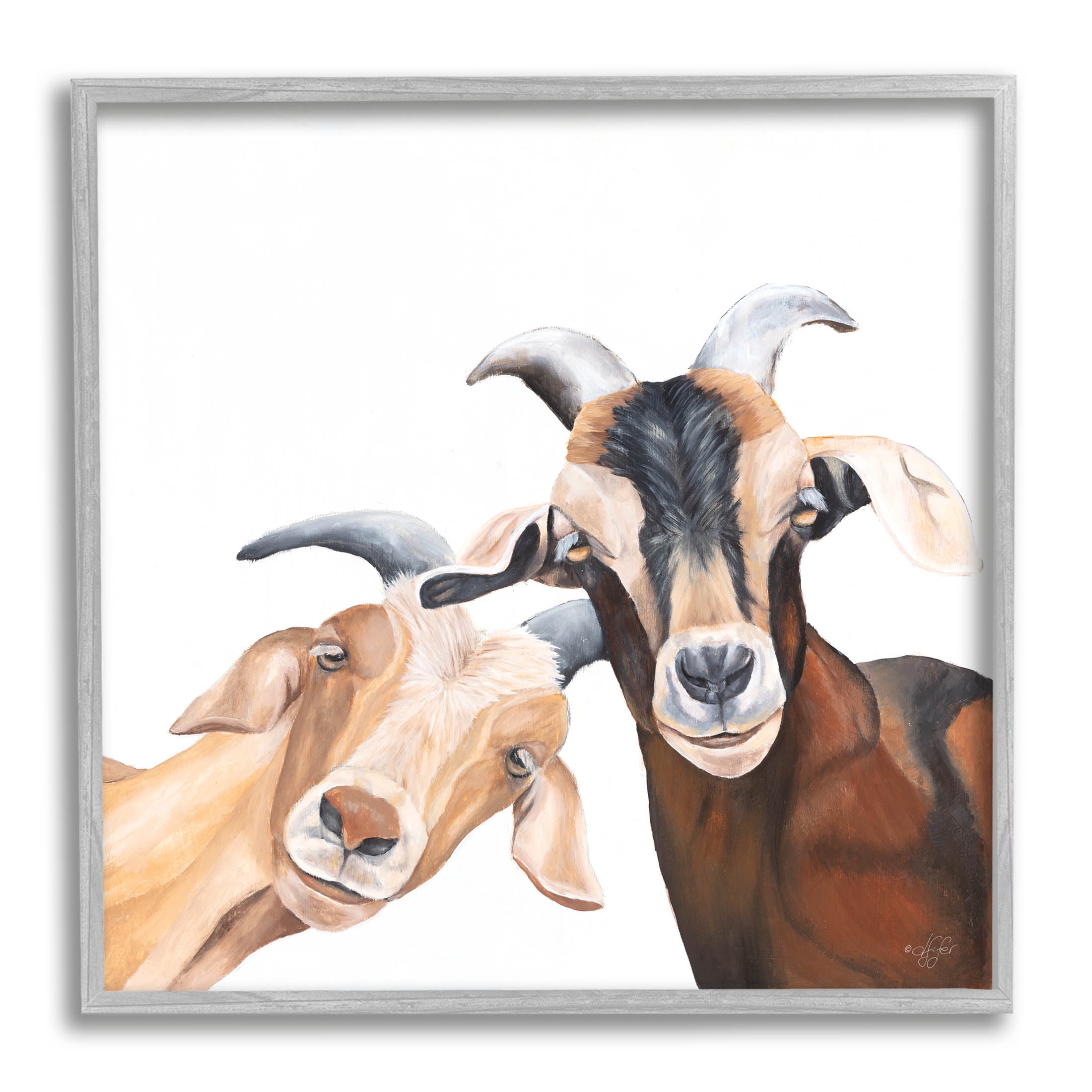 Happy Goat Smiling Animals Animals & Insects Graphic Art Gray Framed Art Print Wall Art