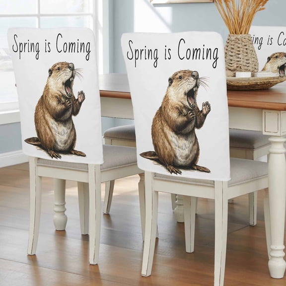 Happy Groundhog Day Chair Back Covers, February Spring Party Cute Animals Removable Chair Covers for Dining Chairs Set of 4, Washable Chairs Slipcovers Back Seat Protector for Wedding Party 19"x20"