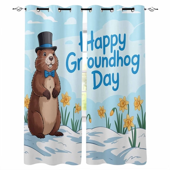 Happy Groundhog Day Kitchen Curtains Cartoon Cute Ground Hog Flowers Sky Blue Cafe Short Curtains for Bathroom Blackout Window Curtain Small Window Treatment Drapes for Bedroom 27.5"x39"x2