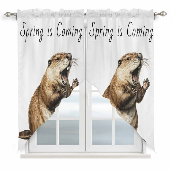Happy Groundhog Day Kitchen Window Curtains, Swag Curtains Valance for Bedroom Living Room Bathroom, February Spring Party Cute Animals Rod Pocket Window Curtain Block Drapes 2 Panels 36"x63"