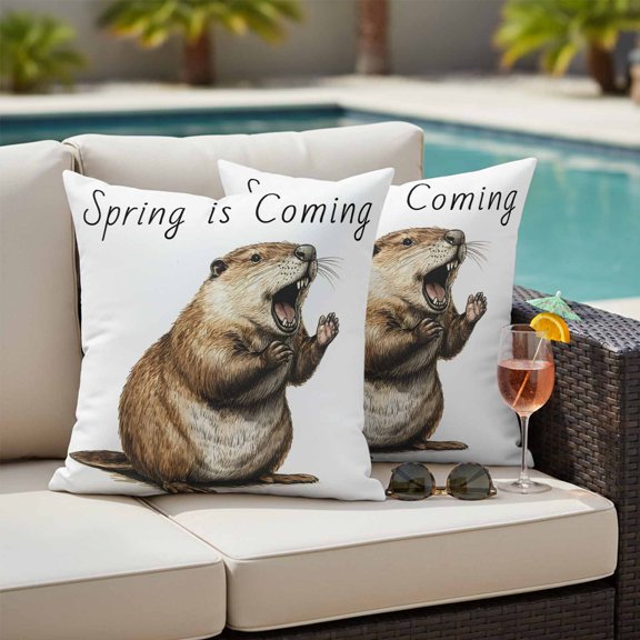 Happy Groundhog Day Outdoor Pillow Covers 16x16 Inch Throw Pillow Covers Set of 2 Waterproof Decorative Pillow Cases February Spring Party Cute Animals Cushion Covers for Patio Furniture Garden Couch