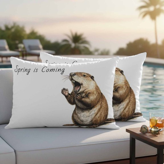 Happy Groundhog Day Outdoor Pillow Covers 20x12 Inch Lumbar Pillow Covers Set of 2 Waterproof Decorative Throw Pillow Cases February Spring Party Cute Animals Cushion Covers for Patio Furniture