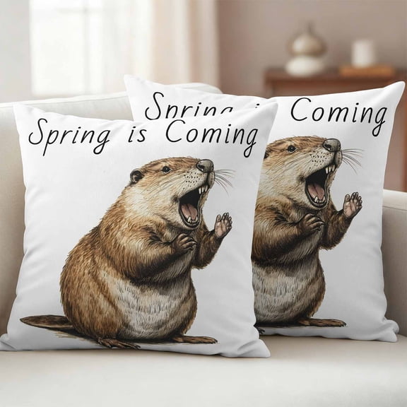 Happy Groundhog Day Outdoor Waterproof Throw Pillow Covers 24x24 Set of 2, February Spring Party Cute Animals Decorative Pillowcases Cushion Pillowcase for Couch Sofa Patio Outside Pillow Protector