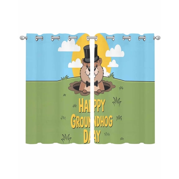 Happy Groundhog Day Sheer Curtains 39 Inch Length 2 Panels Set for Living Room/Bedroom, Cartoon Ground Hog Grass Sun Sky Blue Kitchen Curtains Grommet Curtains Window Treatments 27.5"x39"x2