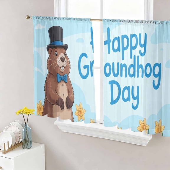 Happy Groundhog Day Sheer Curtains 45 Inch Length 2 Panels Set Window Treatments, Cartoon Cute Ground Hog Flowers Sky Blue Rod Pocket Semi Curtains for Living Room/Bedroom/Kitchen, 104"W x 45"L