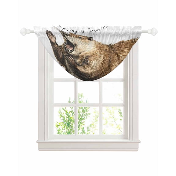 Happy Groundhog Day Sheer Waterfall Valance Curtains for Window, February Spring Party Cute Animals Rod Pocket Sheer Topper Swag Curtains for Living Room, Kitchen 38.5"W x 47.2"L, 1 Panel
