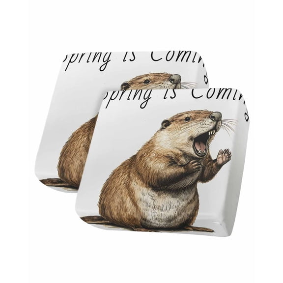 Happy Groundhog Day Sofa Couch Cushion Covers Washable, Removable Stretchable Sectional Couch Covers, February Spring Party Cute Animals Slipcovers for L & T Shape Sofa Protector S Size 2 pcs