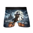 thumbnail image 1 of Happy Halloween Boykin Spaniel Witch Pumpkins Bats All Over Print Boxer Briefs Underwear for Men Dad Dog Lover - 13012, 1 of 6