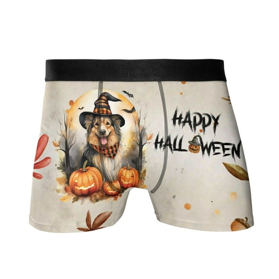 Happy Halloween Collie Witches Hat Pumpkin Carving All Over Print Boxer Briefs Underwear for Men Dad Collie Dog Lover Gifts Idea - 02019