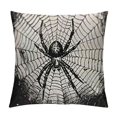 thumbnail image 1 of Happy Halloween Pillow Covers ,Skull Raven Crow Spider for Fall Decorations Pillow case Orange and Black Throw Pillows Decorative Couch Cushion Covers Indoor Outdoor Decor, 1 of 5