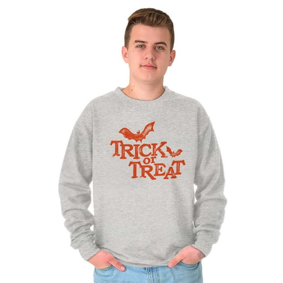 Happy Halloween Trick or Treat Bats Unisex Plus Fleece Graphic Sweatshirt Brisco Brands 2X