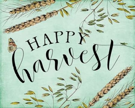 Happy Harvest Canvas Art - Amy Cummings (24X30)