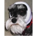 thumbnail image 1 of Happy Hoodie Ear Band, Size Small, 1 of 2