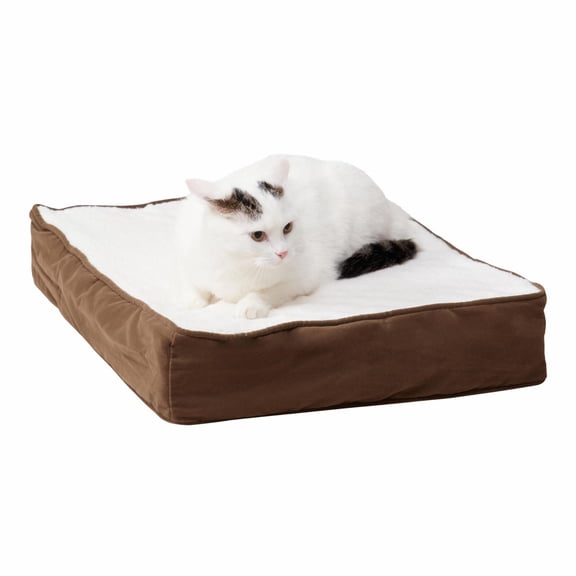 Happy Hounds Bella Small Latte Orthopedic Sherpa Cat Bed