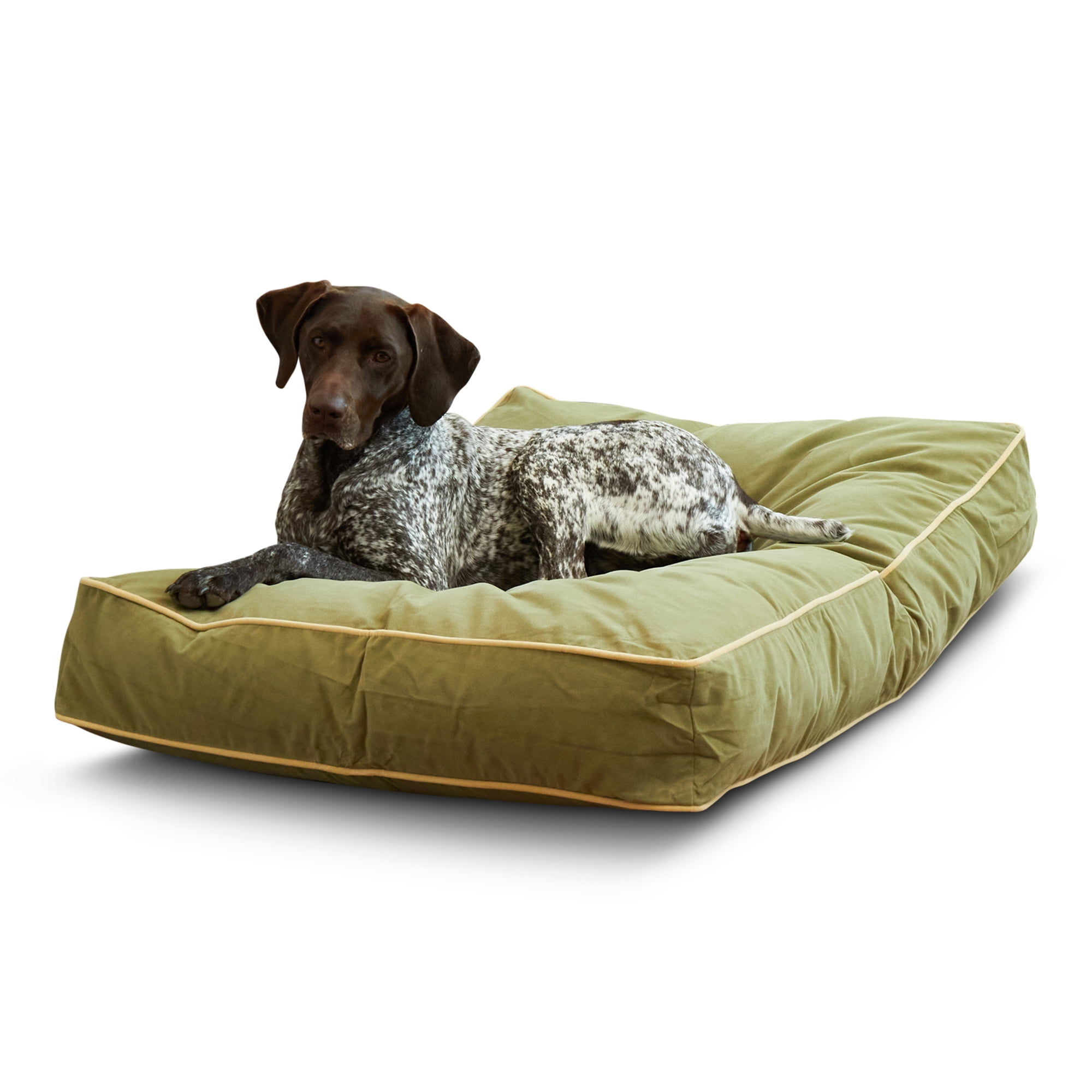 Medium Moss Chew Resistant Microfiber Dog Bed