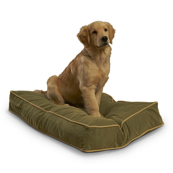Happy Hounds Buster Rectangle Pillow Style Dog Bed, Moss, Small (36 x 24 in.)