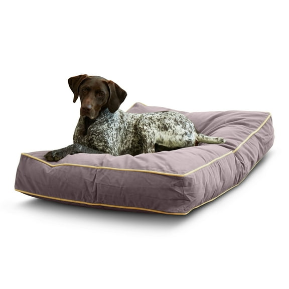 Happy Hounds Buster Rectangle Pillow Style Dog Bed, Smoke, Medium (42 x 30 in.)