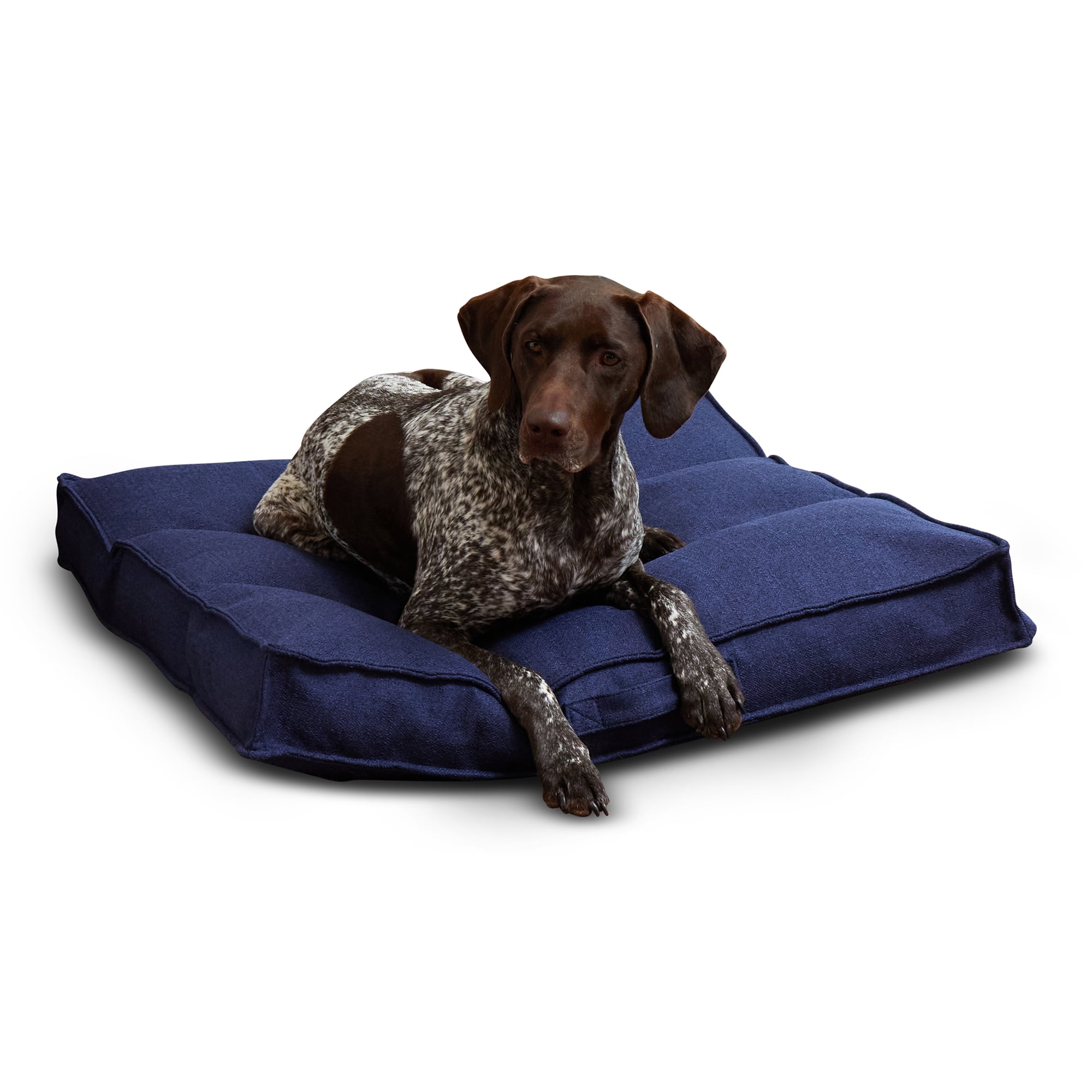 Happy Hounds Milo Square Tufted Pillow Dog Bed- Cobalt- Medium (32 x 32 ...