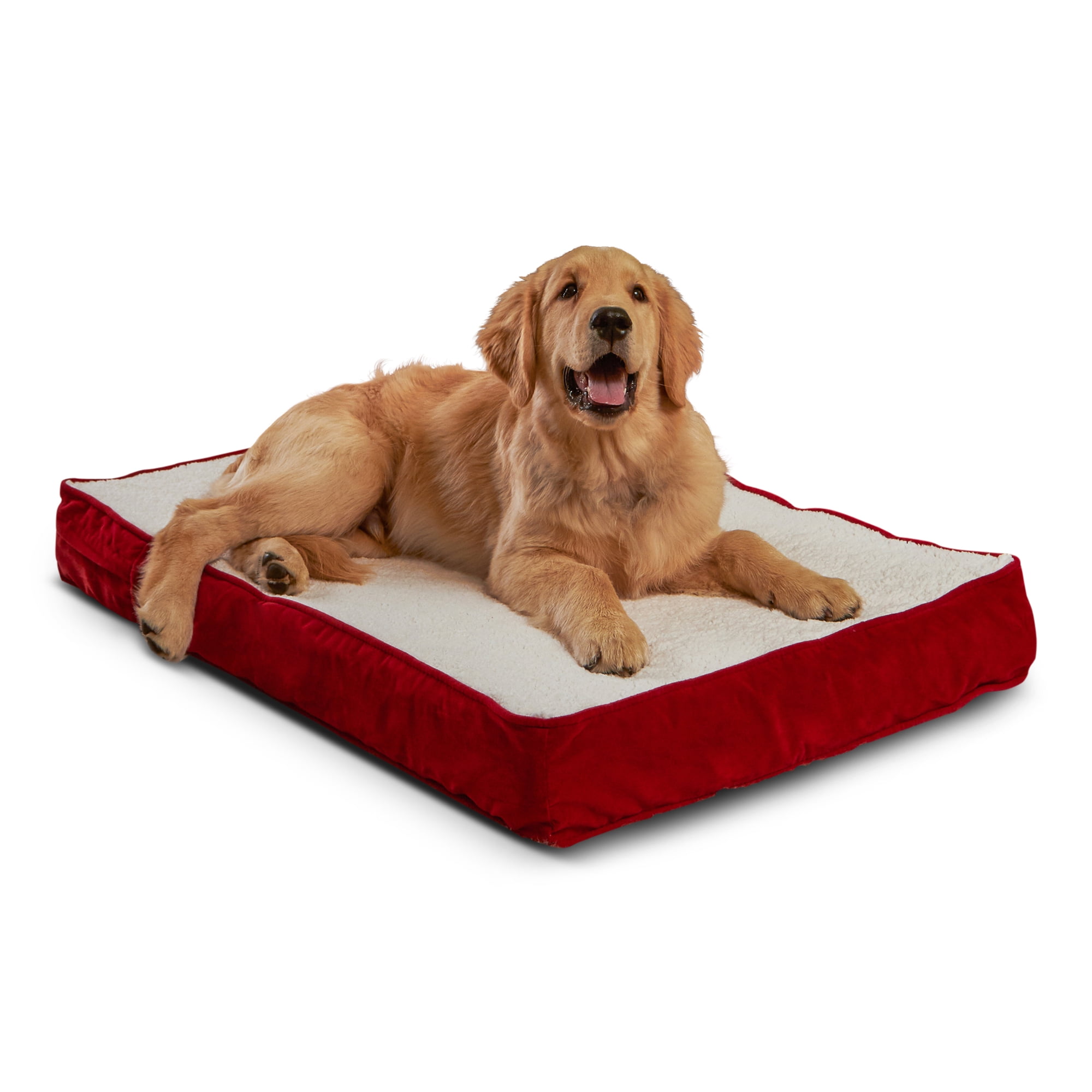 Small orthopedic sale dog bed