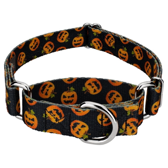Country Brook Petz® Happy Jack Martingale Dog Collar, Extra Small