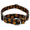 thumbnail image 1 of Country Brook Petz® Happy Jack Martingale Dog Collar, Small, 1 of 6