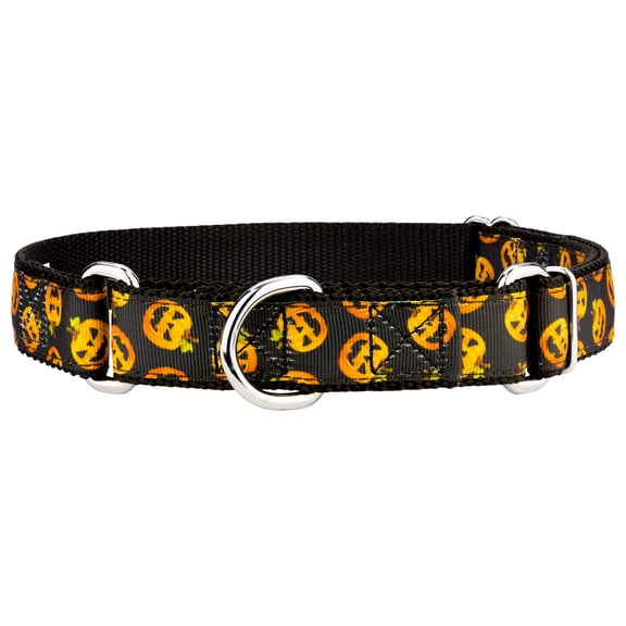 Country Brook Petz® Happy Jack Ribbon Martingale Dog Collar, Small