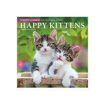 Happy Kittens | 2025 12x24" (Hanging) 18 Month Wall Calendar | Jul '24 - Dec '25 | Plato