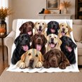 thumbnail image 1 of Happy Labrador Retrievers Group Portrait Autumn Sofa Friendly, Cozy Pet Portrait Pattern, Warm Flannel Blanket for Living Room and Bedroom, Dog Lovers Thanksgiving Gift, Pet Lover Home Decor, 1 of 9