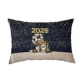 thumbnail image 1 of Happy New Year Exotic Shorthair Welcome 2025 Balloon Firework Party Quilt Pillowcase Cat Lover Kitten Owner Gifts Throw Pillow Cover Bed Home Decor - 01014, 1 of 5