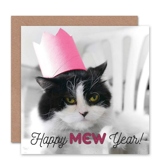 Happy New Year Hogmanay Grumpy Cat Mew Greetings Card Plus Envelope Blank inside